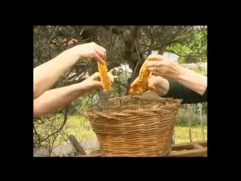 Ghiaccio da prezzemolo da posti di pigmentary Togliere posti pigmentary della casa