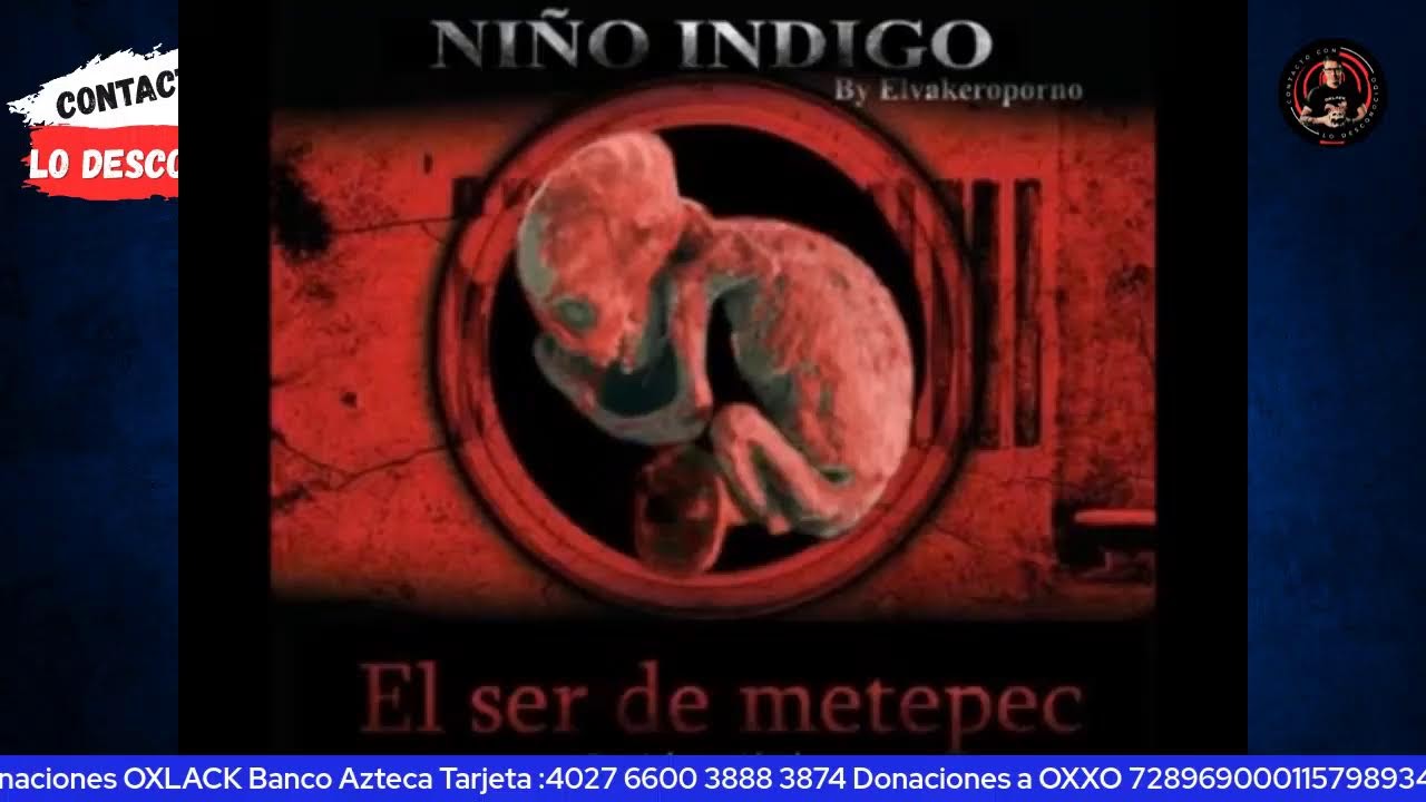 DESEMPOLVANDO LIBROS DE OVNIS Y OTROS MISTERIOS