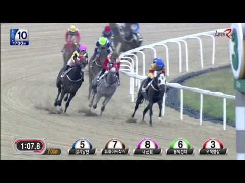 New White Socks - Seoul 1700M Track Record