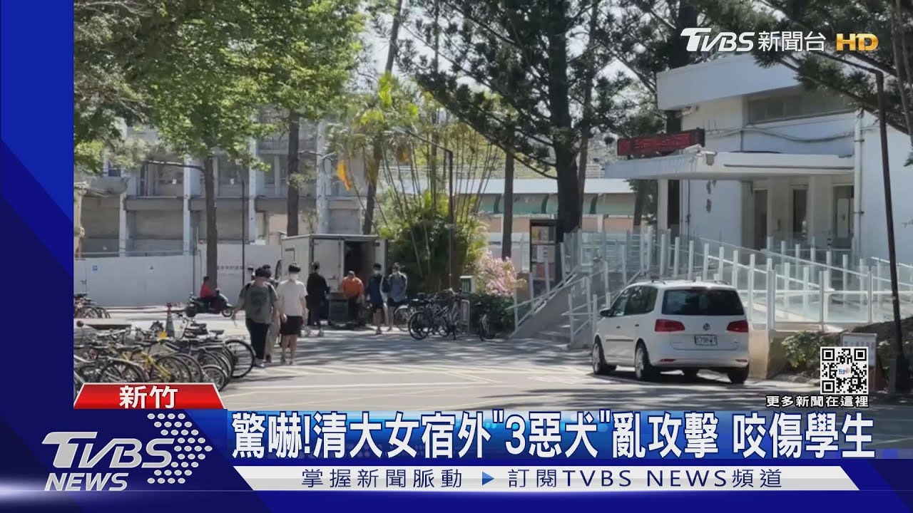 驚嚇!清大女宿外「3惡犬」亂攻擊 咬傷學生