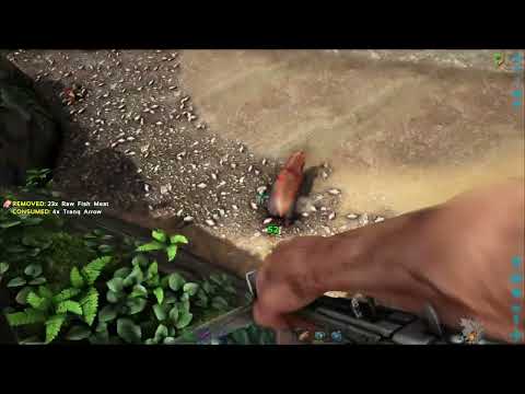 How To Tame A Dire Bear In Ark
