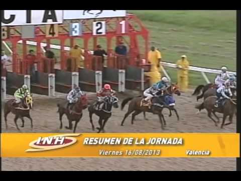resumen viernes 16 agosto 2013 HINAVA