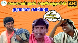 Download lagu நீ வேணா சண்டைக்கு வாடா🤷♂️வந்து பாருடா🤣🤣 வடிவேலு மரண காமெடி 100% சிரிப்பு உறுதி👍 4k Comedy Video mp3 Download lagu நீ வேணா சண்டைக்கு வாடா🤷♂️வந்து பாருடா🤣🤣 வடிவேலு மரண காமெடி 100% சிரிப்பு உறுதி👍 4k Comedy Video mp3