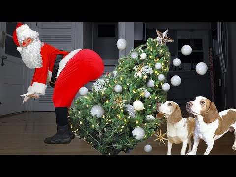 Can These Dogs Defeat Evil Twerking Santa?