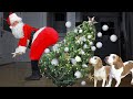 Can These Dogs Defeat Evil Twerking Santa?
