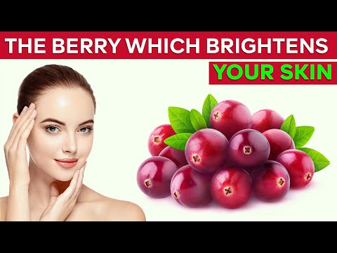 Bearberry Extract Powder