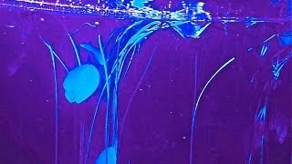 Entspannungsmusik, Meditation, Einschlafmusik, Relaxation, Ambient, Johannes Koeniger