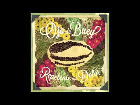 Nuestra dirección - Ojo de Buey