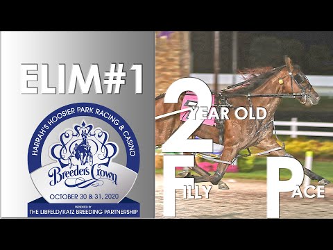2020 Breeders Crown Elim#1 - Continualou - 2FP