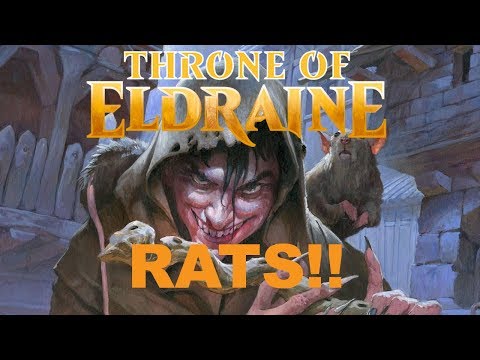 Rats! - Piper of the Swarm - Throne of Eldraine Standard Deck Tech