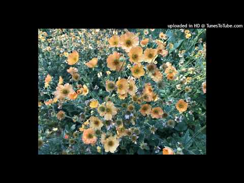 Robert Overeem - A different kind of love, originally by Caroline W, Presel Sweden Eurovision 2004