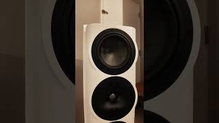 Michell Gyro SE Turntable w Perlisten Speakers = Musical Bliss