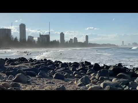 Rashnaka with Danesh. Queensland Australia. Fall 2022.