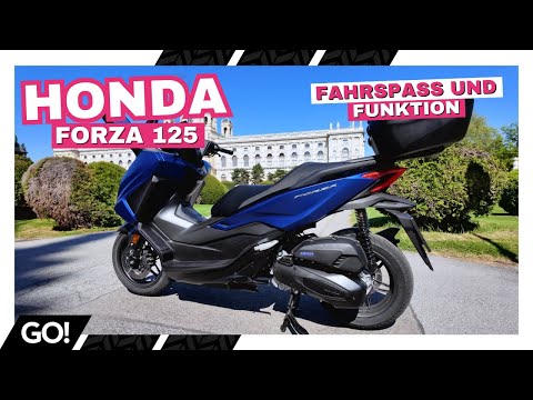 Der Roller mit dem großen Auftritt - Honda Forza 125