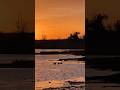 Beautiful Sunset at the Wetland with "Empty Universe"  #sunset  #music