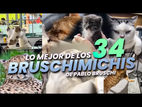 THE BEST OF THE BRUSCHIMICHIS 34 - PABLO BRUSCHI