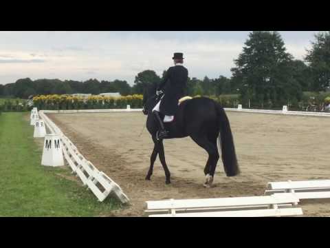 Don Nobless 20.08.2016