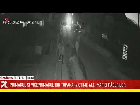 Primarul și viceprimarul din Topana, victime ale  mafiei pădurilor