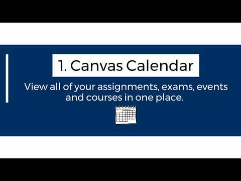 Canvas Herzing Login
