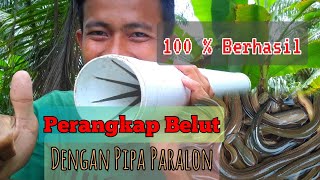 Download lagu EXPLANATION OF HOW TO EASY MAKE AN ELEBREAK TRAP WITH PVC/PARALON PIPE mp3