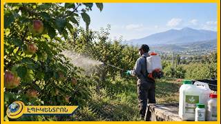 Թունաքիմիկատներ՝ միրգ-բանջարեղենի ամեն 2-րդ նմուշում