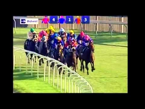 KRA GUINEAS   Computer