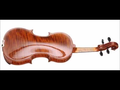 Ji Hwan Park - 1st Prize - 13th Wieniawski Violin Making Comp. | binaural recording | chamber hall