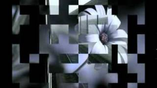 Modà - Il Sogno Di Una Bambola - Immagini Con Testo