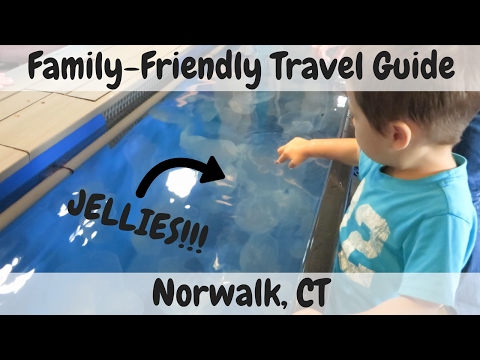 Family-Friendly Travel Guide to Norwalk Connecticut | Kid-Friendly Day Trips from NYC