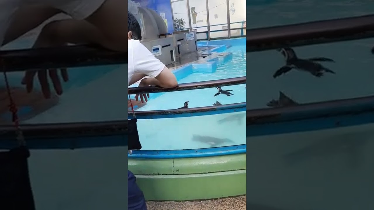 YouTube Short thumbnail