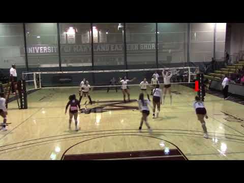 Tatjana Trifkovic- Highlights 2020