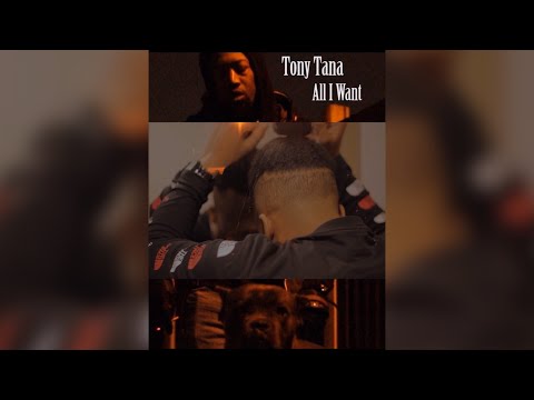 Tony Tana - All I Want (Official Music Video)