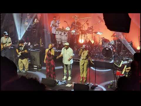 Colibri - Incognito - Koko - 27.10.23