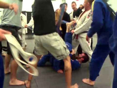 Nugget gets promoted to Blue Belt!!!!