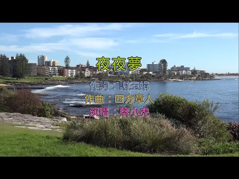蔡小虎 - 夜夜夢