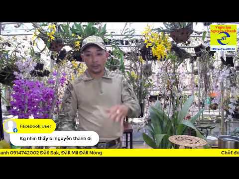 Chia sẽ cách làm lan đa thân lên thật nhiều mầm gốc