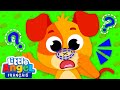 Où Est Mon Nez Comptines Sur Les Animaux Little Angel Français