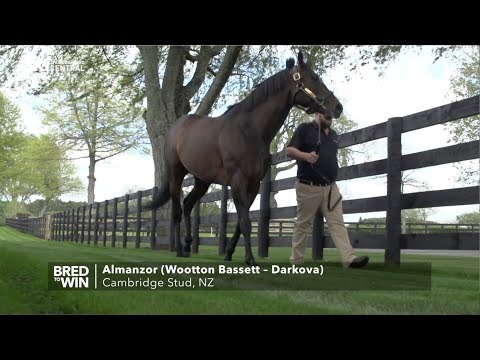 BRED TO WIN CAMBRIDGE STUD FEATURE APRIL 2020