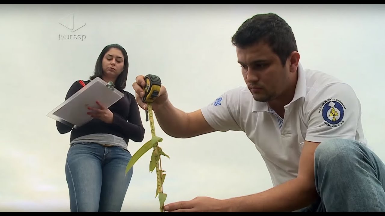 Guia de Profissões | Engenharia Florestal
