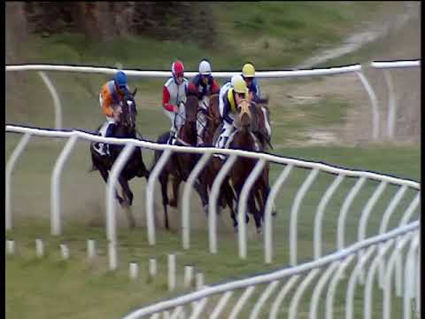 Galoppo 15/02/2019 - 5ª corsa