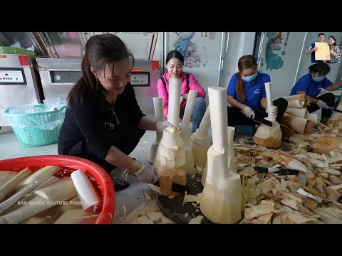 Đưa Cổ Hủ Dừa sấy khô về Cửa hàng Hải sản Phan Diễm Món Ngon từ Củ hủ Dừa ở Bến Tre, liên hệ Cơ sở Minh Hậu 0355328757 - 0987639100