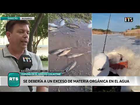ESPUMA EN CORONDA Y PECES MUERTOS EN EL CARCARAÑÁ | “No consumir peces que se encuentran muertos”