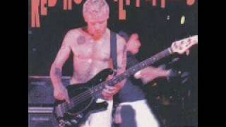 Red Hot Chili Peppers - Flea's Birthday Gig - One Big Mob