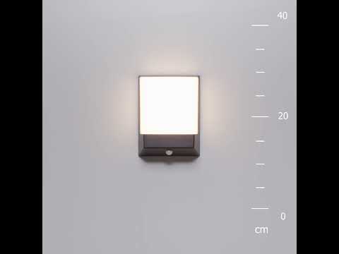 Превью видео