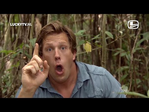 Freek Vonk - Giant Anaconda | LUCKYTV (2015)