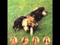 The World Of Skin - Mystery of Faith (10) 