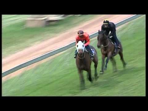 Vodacom Durban July 2013 E Jet Gallop