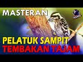 Masteran PELATUK SAMPIT Gacor PELATUK BERAS Nembak Tajam