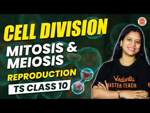Cell Division | MITOSIS & MEIOSIS | Reproduction | TS Class 10