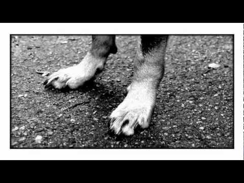 wingenfelder:Wingenfelder - Irgendwie wirds gehen (Official Video)